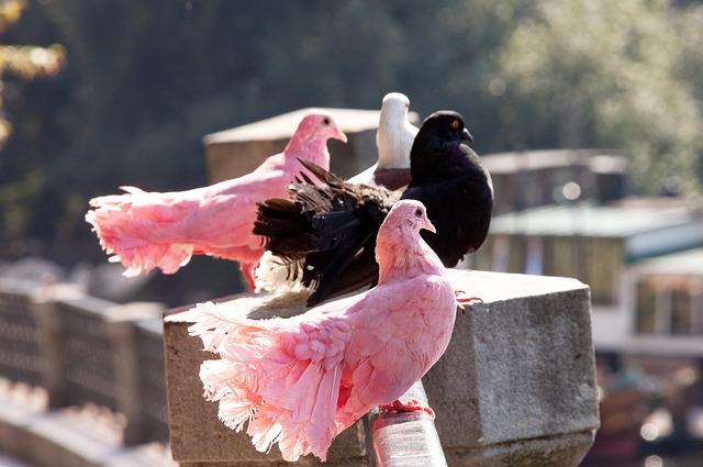 后是友情的 后是友情的