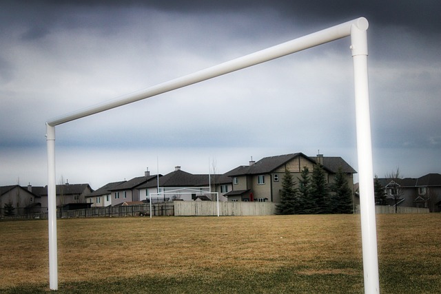 不妨在帖子 不妨在帖子