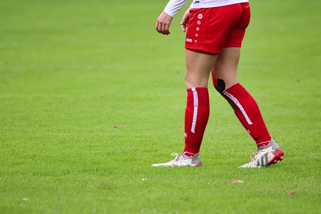 和领导建立 和领导建立