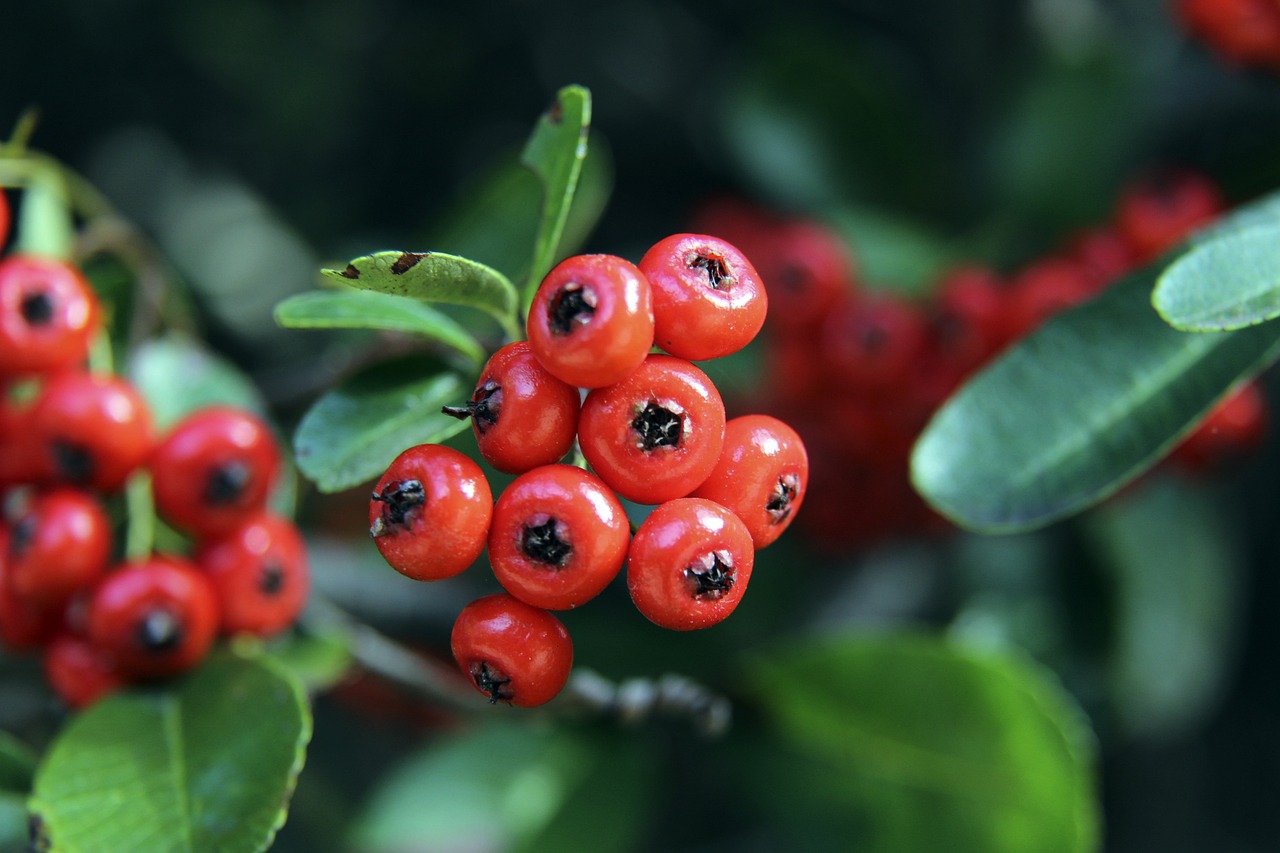 据的提升上 据的提升上