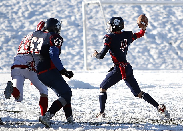 行为却给自 行为却给自