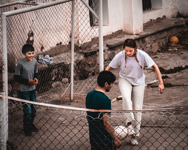 開展的各類 開展的各類